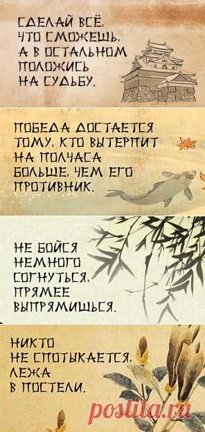 (7) 50 пословиц японской мудрости: 1. Причину и... - Эзотерика. Практика_и_теория