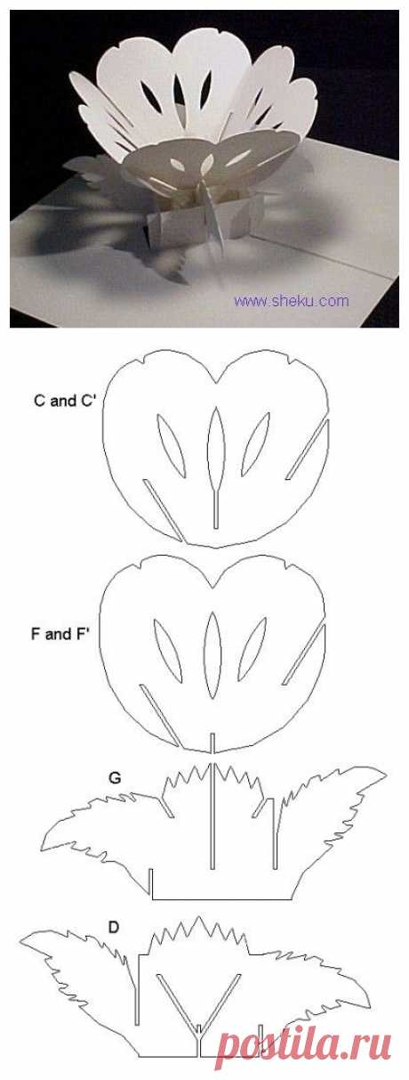 3523ca2f.jpg (417×1100)