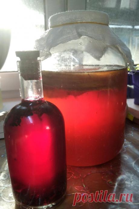Чайный гриб, комбуча, полезный и вкусный газированный напиток
Несколько десятилетий назад почти на каждом подоконнике стояла банка с этим «зверем». Банка, прикрытая марлей, сложенной в несколько раз. Напиток процеживался, заливался новым раствором чёрного сладкого чая и через 3-5 дней, в зависимости от температуры воздуха в помещении, опять напиток был готов к употреблению. Помню, мама всегда...
Читай пост далее на сайте. Жми ⏫ссылку выше