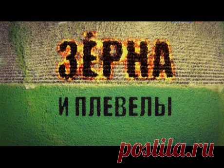 О ГМО