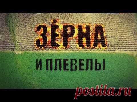 О ГМО