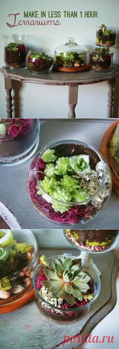 Создаём цветочный террариум. Урок из США