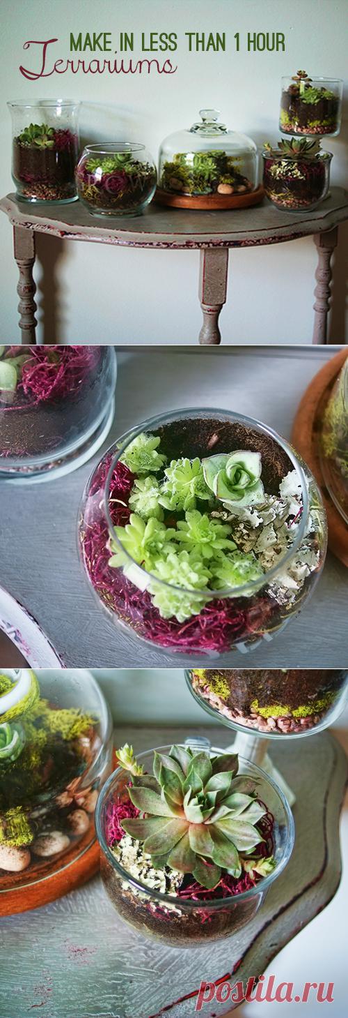 Создаём цветочный террариум. Урок из США