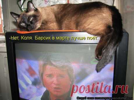 kotomatritsa_7.jpg (Изображение JPEG, 750 × 562 пикселов)