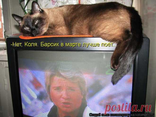 kotomatritsa_7.jpg (Изображение JPEG, 750 × 562 пикселов)