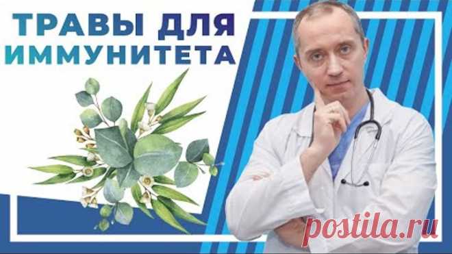 Травы для иммунитета! Народные средства способные поднять иммунитет!