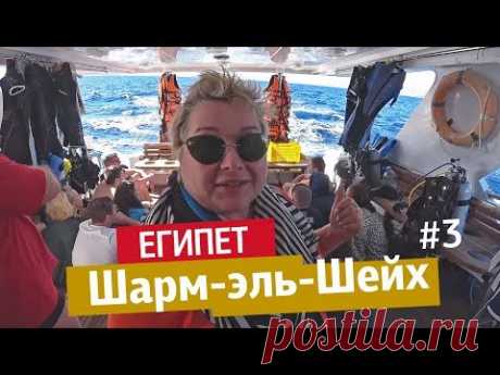 Египет, Шарм эль Шейх. Дайвинг в Красном море. Японский ресторан и магазин шуб.
