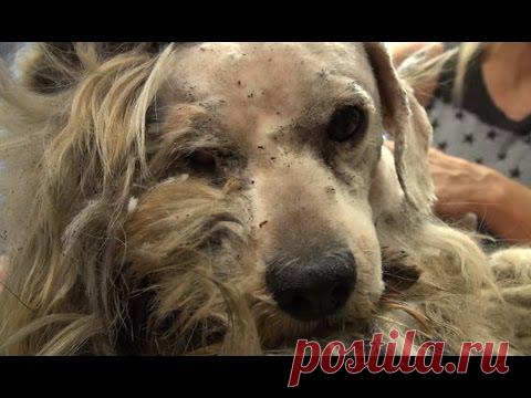 Благодаря этому трюку интернет дома станет в разы стабильнее. Вот бы раньше знать это!