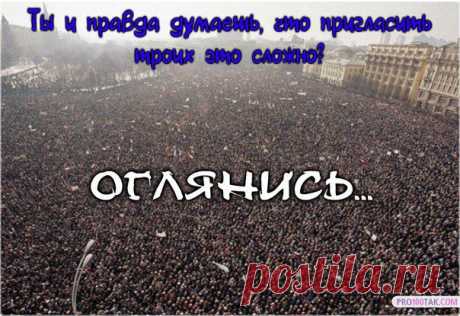 Светлана Волкова