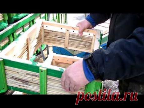 Улей из камыша.