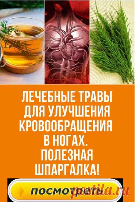 Прежде, чем начать использовать травы для лечения, стоит внимательно ознакомиться с правилами приготовления настоев. Ведь травы – это все же лекарственное средство, некорректное употребление которых может вовсе не принести результата либо нанести определенный урон организму.