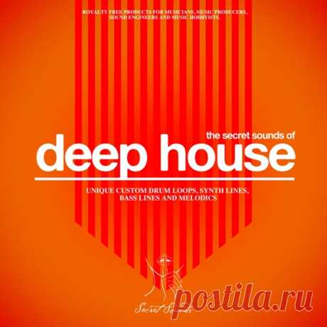 The Secret Sounds of Deep House Vol.1 WAV-AUDIOSTRiKE  | 365 MB

Secret Sounds is proud to present, The Secret Sounds of Deep House.

This pack contains over 500MB of professionally produced ready to use loops and sounds. Inspired by labels like Get Physical, Black Butter, Aus, Apollonia, Love &amp; Other and Get Twisted, these production tools would be indispensible in any deep house production.
