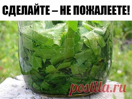 Лечебные свойства и рецепты из листьев хрена. 
Листья хрена вытянут соль. Растирка из листьев хрена помогла при болях в спине и суставах. 
СДЕЛАЙТЕ – НЕ ПОЖАЛЕЕТЕ! 
Сейчас самое время избавиться от всей соли, 
которая накопилась в организме и может привести к солевым болезненным отложениям. Напоминаю проверенный и безотказный рецепт. 
Возьмите свежие крупные листья хрена – 2 шт. Перед сном окуните их с двух сторон кипяток и сразу положите на спину, захватывая шею. Обвяжите...