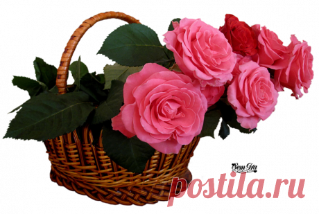 Google+