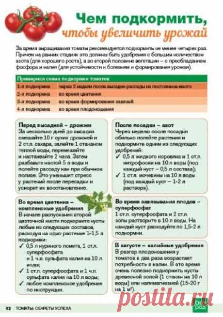 (2) Pinterest