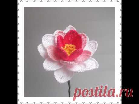 WATER LILY