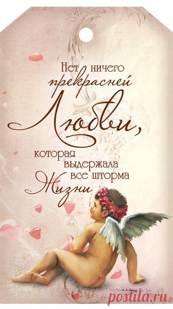 Eeuqteo30lg.jpg (576×1024)