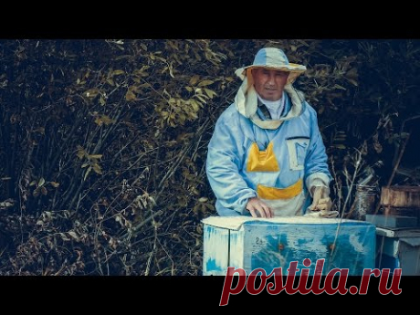 Три способа зимовки без сборки гнезда