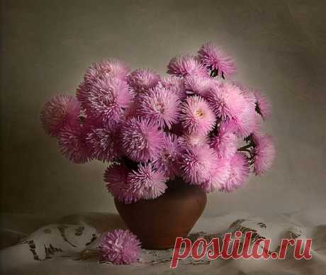 Фотонатюрморты Елены Чаусовой(Ташкент)