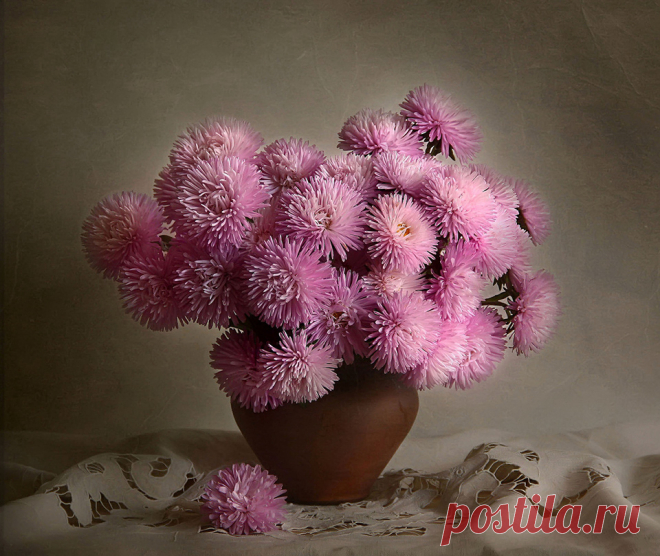 Фотонатюрморты Елены Чаусовой(Ташкент)