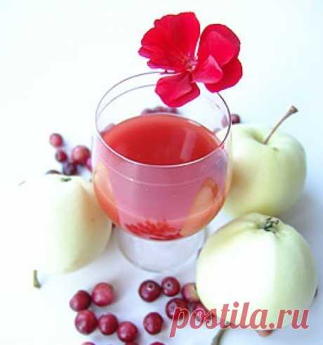Клюковка – рецепт настойки из клюквы на водке