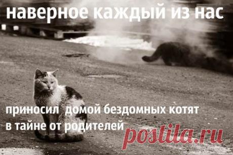 Мой Мир@Mail.Ru