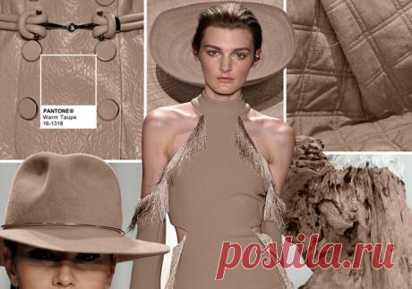 Модные цвета осень-зима 2017 в женской одежде по версии Pantone
СЕРО_КОРИЧНЕВЫЙ
