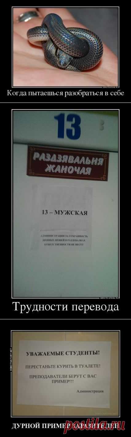 Демотиваторы