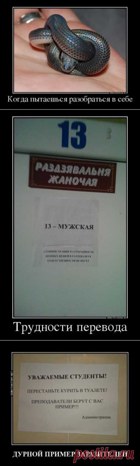 Демотиваторы