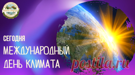 Поздравляю с Международным днем климата! Давайте действовать сообща, чтобы сохранить нашу планету для будущих поколений. Пусть ответственное отношение к экологии станет нормой для каждого! Открытки на Международный день климата!