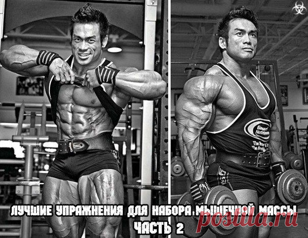 Лучшие упражнения для набора мышечной массы / Абсолютное здоровье
