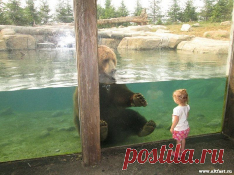 СТРАНИЦА МЕДЕИ! ФОТОСТРАНА: ... И НЕПЛОХОЕ ВЧЕРА!