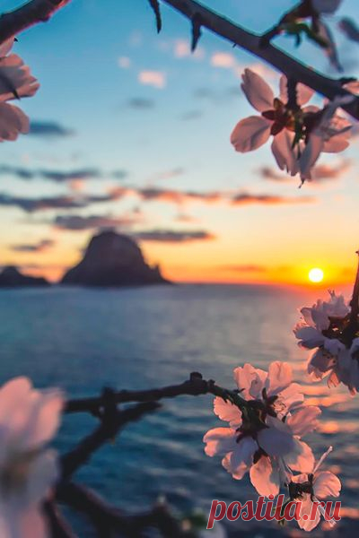 (79) Pinterest