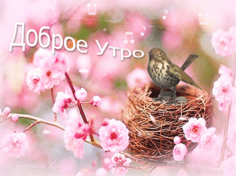 12189088.gif (750×560)
