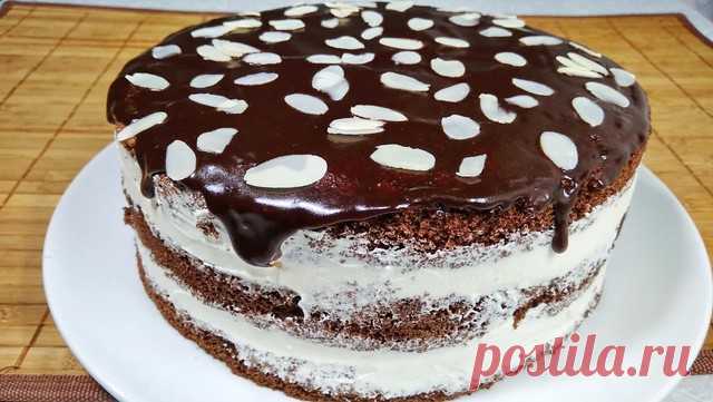 Шоколадный торт с белково масляным кремом — Домашняя кулинария