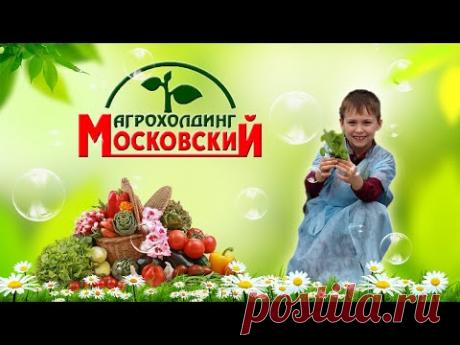 📺 Все Видео Канала ArtemLand: https://www.youtube.com/ArtemLand 
Спасибо, что смотрите мое видео! 
МОЯ ИСТОРИЯ: https://www.artemland.com
SOCIAL MEDIA: https://linktr.ee/ArtemLand