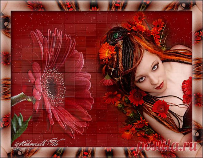 Клипарт "Герберы"