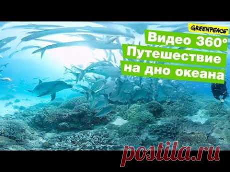 360*. Путешествие на дно океана