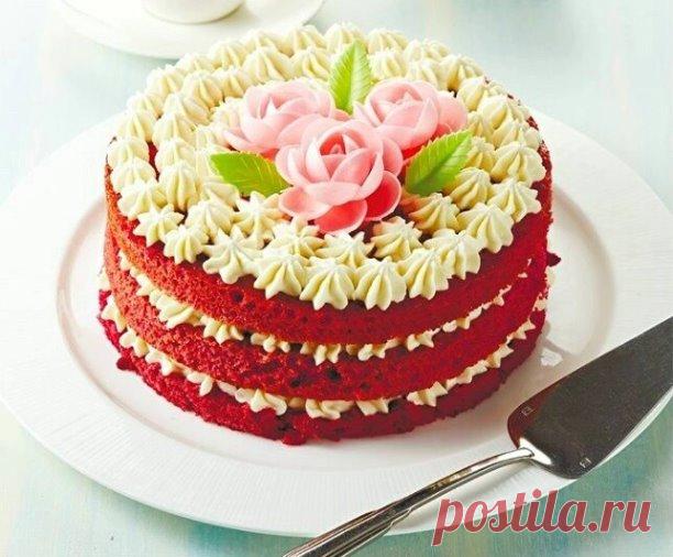 Торт «Красный бархат» (8 порций)

 Ингредиенты:
• 2 яйца
• 330 г сахара
• 100 г рафинированного растительного масла
• 240 г муки
• 15 г разрыхлителя
• 1 ч.л. пищевой соды
• 200 г сметаны, 15–20% жирности
• 15 г красного красителя
• 1 щепотка соли
• 500 г творожного сыра (например, Cremette), из холодильника (не менее 2–3 часов охлаждения)
• 250 г сливок, от 33% жирности, из холодильника (не менее 2–3 часов охлаждения)