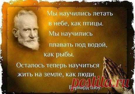 Одноклассники