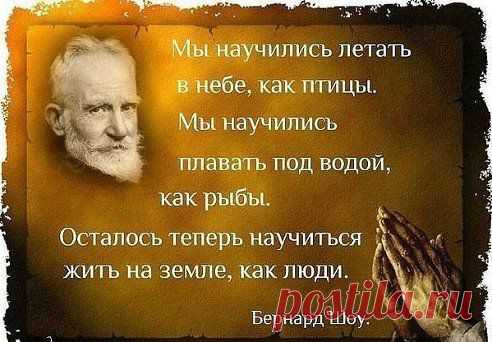 Одноклассники