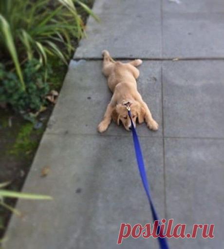 Мой Мир@Mail.Ru