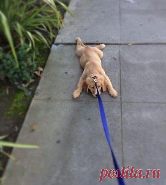 Мой Мир@Mail.Ru