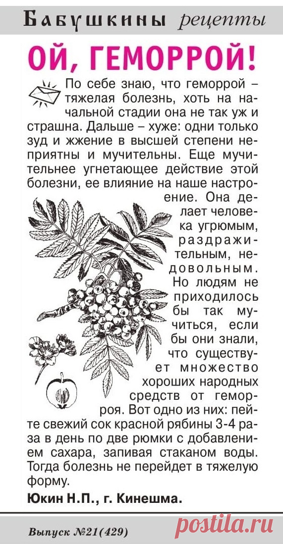 Рябина от геморроя