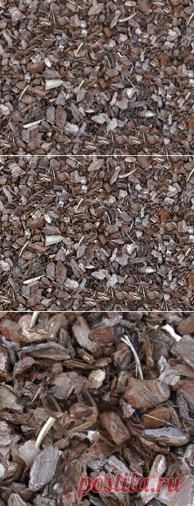 Texture seamless | Ground texture seamless 12859 | Textures - NATURE ELEMENTS - SOIL - Ground