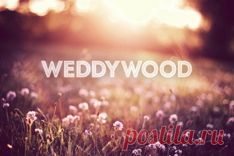 WeddyWood { Ведивуд } — проект для тех, кого объединяет любовь к современным, изысканным и элегантным свадьбам. Мы любим свадьбы со вкусом и делимся вдохновением, советами и рекомендациями, как сделать этот день незабываемым.
