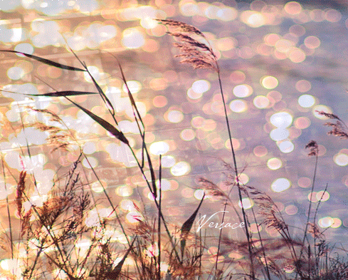 Мир Музыки ▷ ▶ 🎧 - Группы Мой Мир