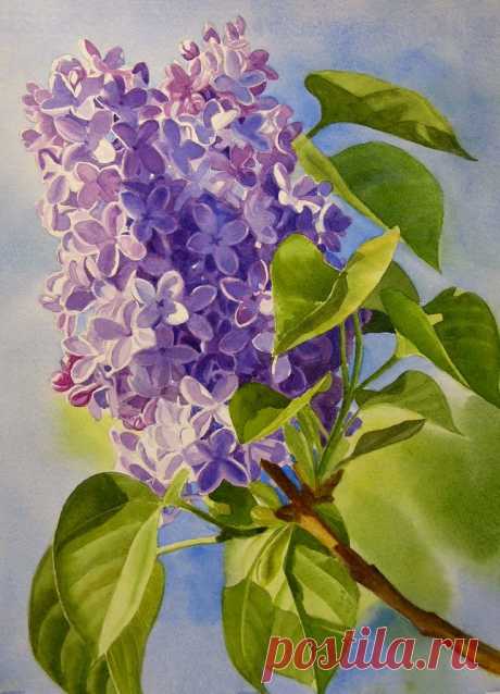 watercolors start to finish | Paintings - Florals | Акварели, Google и Поиск