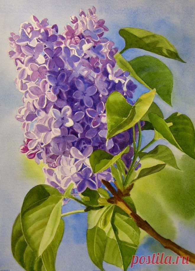 watercolors start to finish | Paintings - Florals | Акварели, Google и Поиск