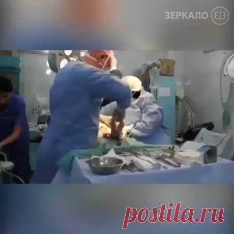 Живи, малыш!!! Живи!!!